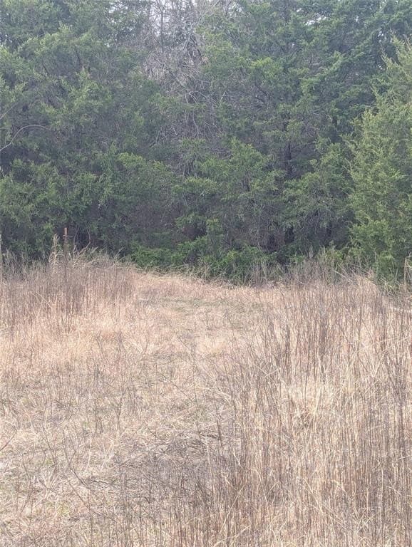 2.64 acres in Collin County - photo 6