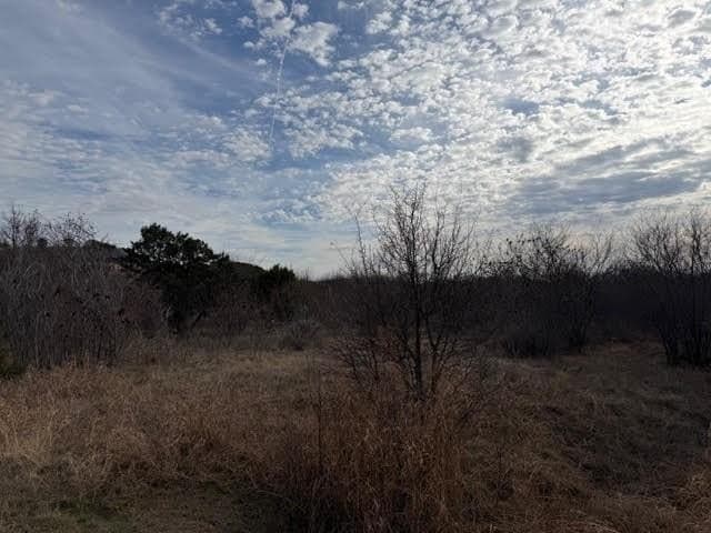 4.02 acres in Palo Pinto County - photo 11