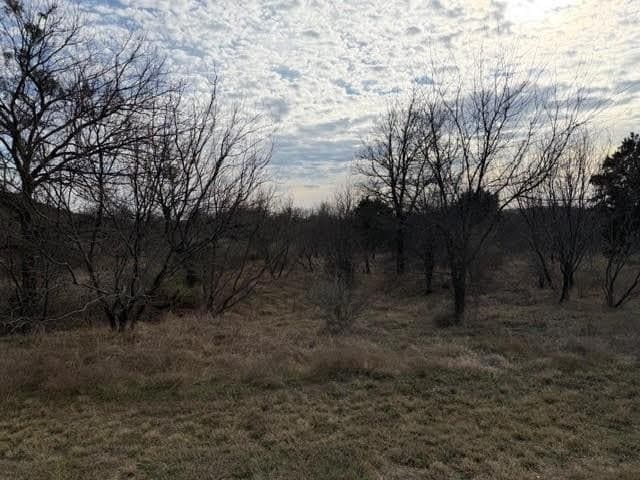 4.02 acres in Palo Pinto County - photo 8