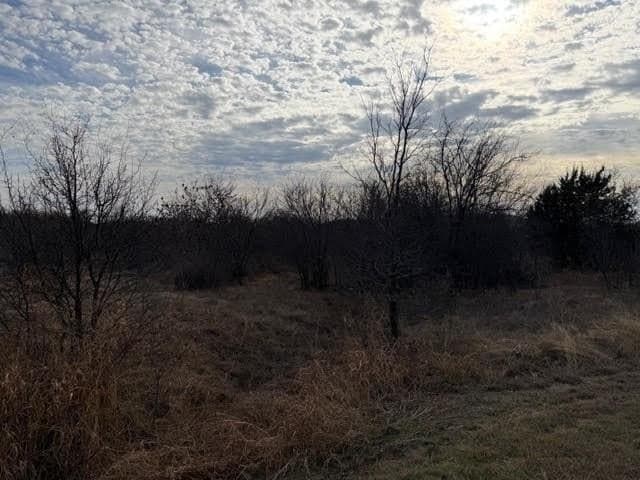 4.02 acres in Palo Pinto County - photo 10