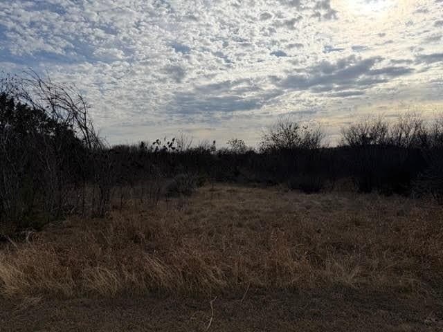 4.02 acres in Palo Pinto County - photo 9