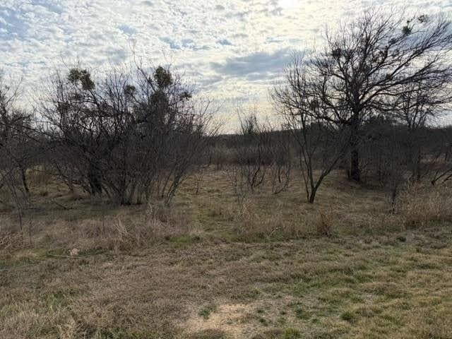 4.02 acres in Palo Pinto County - photo 7