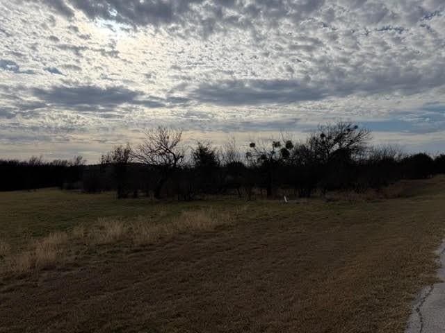 4.02 acres in Palo Pinto County - photo 6