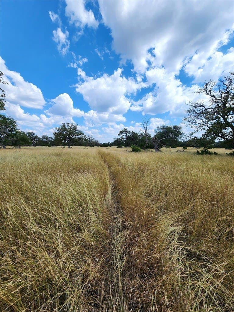 476 acres in Bandera County - photo 13