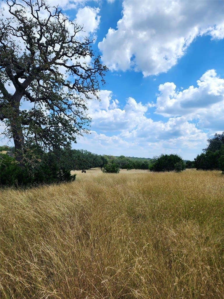 476 acres in Bandera County - photo 24