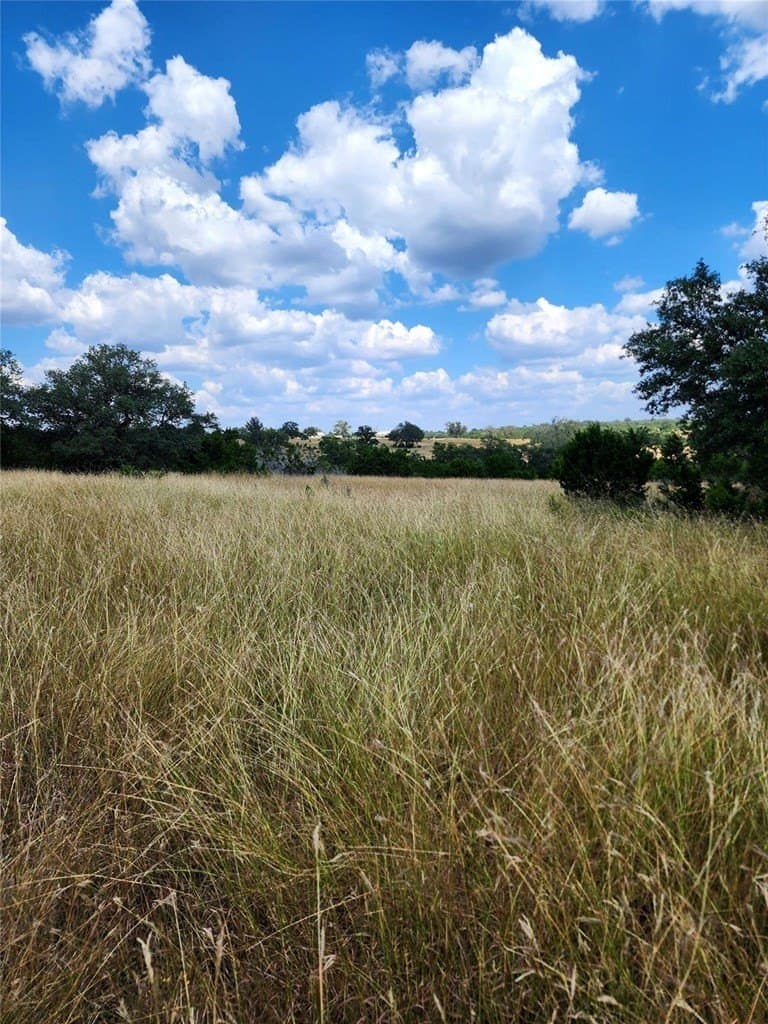 476 acres in Bandera County - photo 26