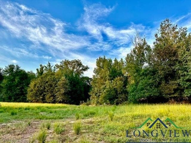 50 acres in Texas County - photo 2