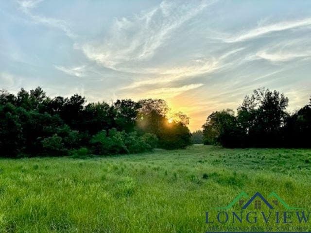 50 acres in Texas County - photo 5