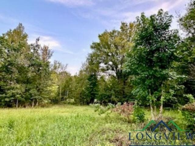 50 acres in Texas County - photo 13