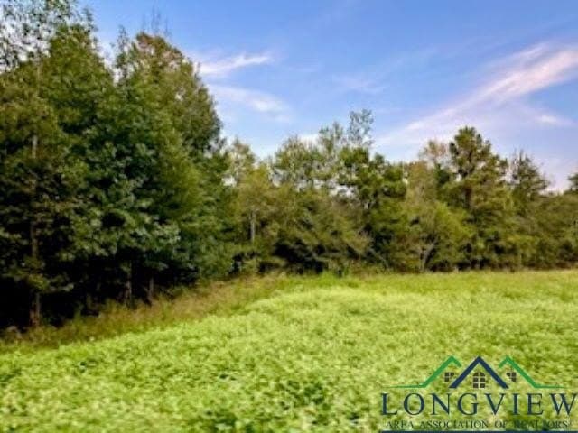 50 acres in Texas County - photo 12