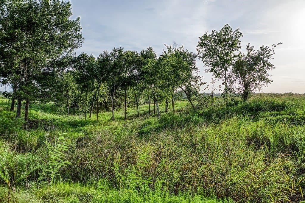 4.37 acres in Washington County - photo 4