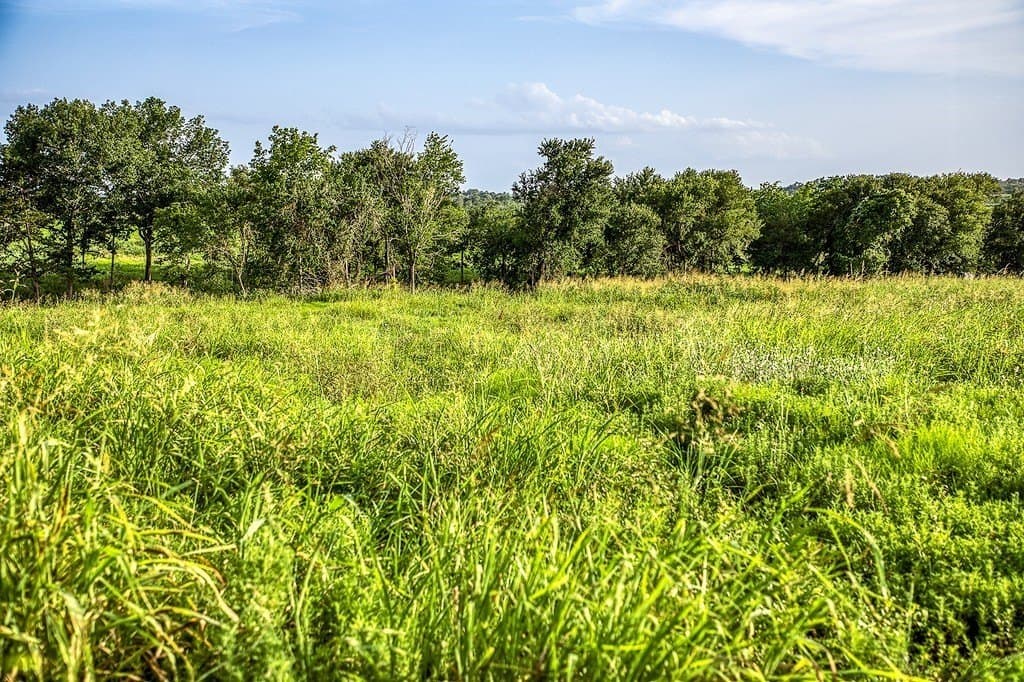 4.37 acres in Washington County - photo 5