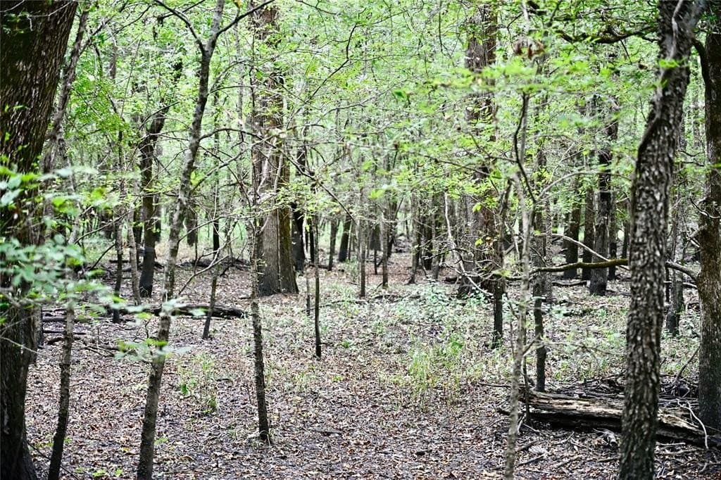 223 acres in Franklin County - photo 6