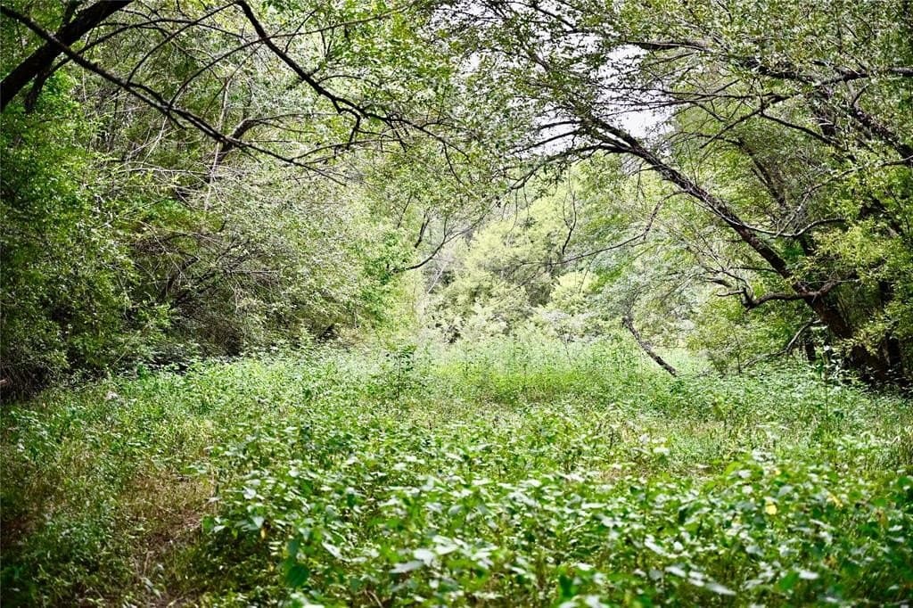 223 acres in Franklin County - photo 3