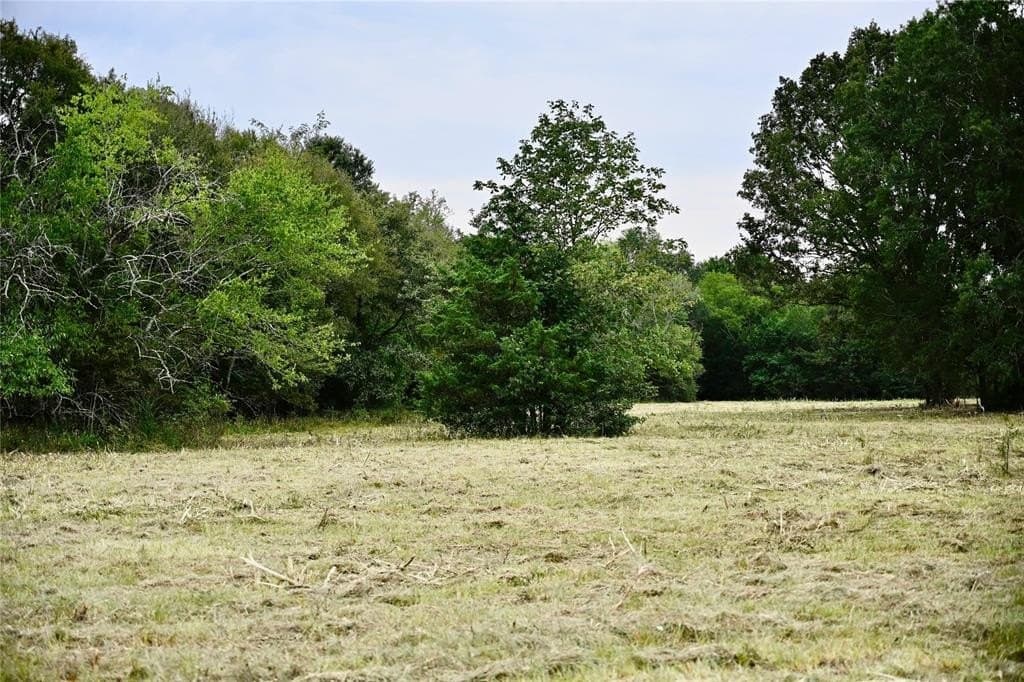 223 acres in Franklin County - photo 7