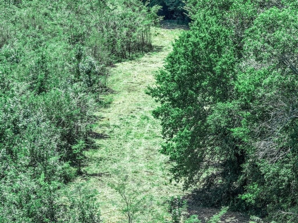 223 acres in Franklin County - photo 22