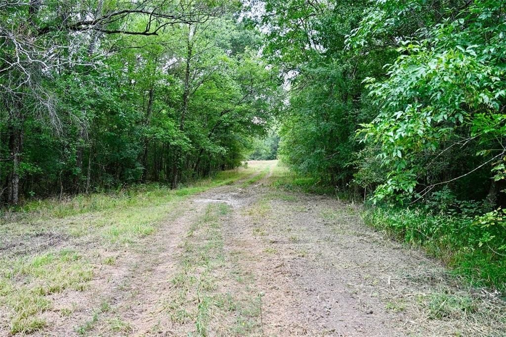 223 acres in Franklin County - photo 2