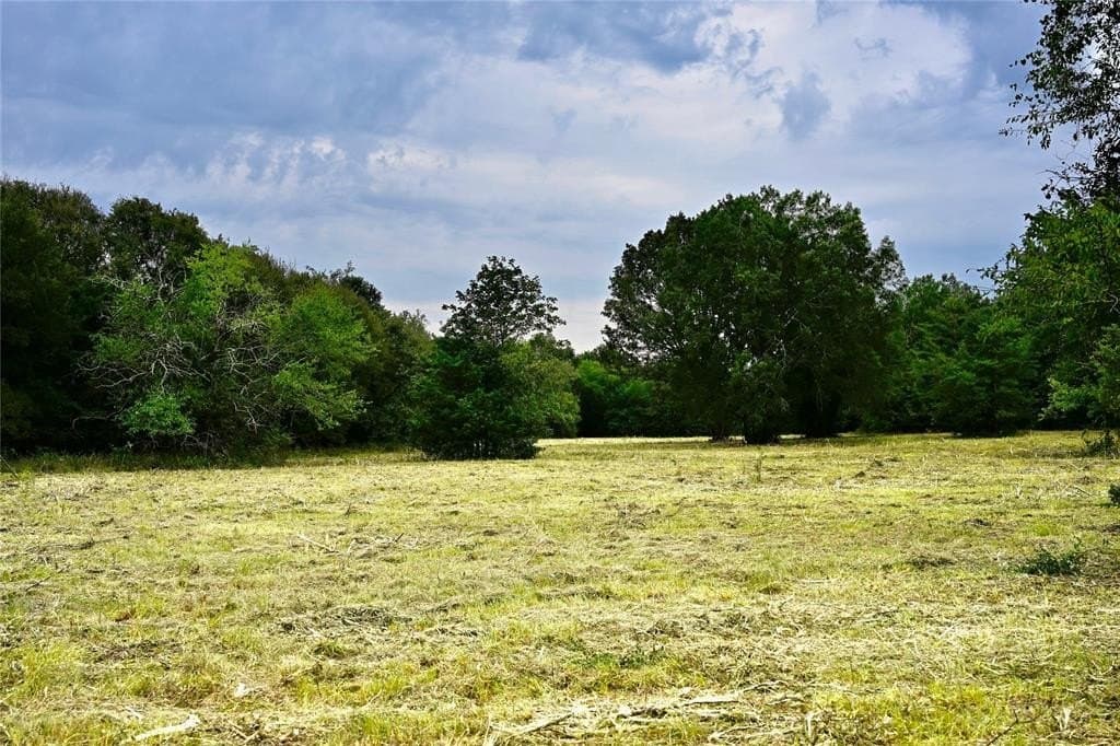 223 acres in Franklin County - photo 8