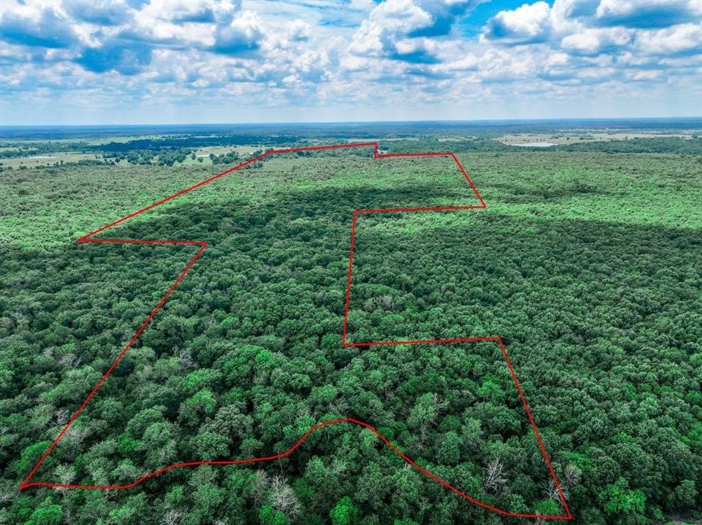 223 acres in Franklin County - photo 14
