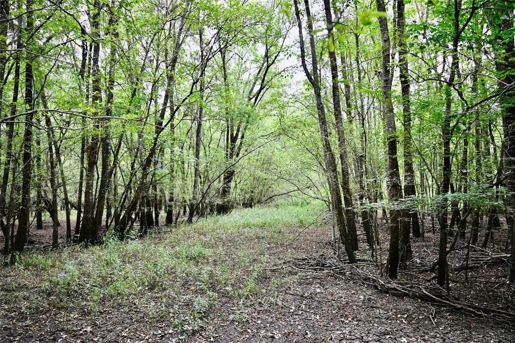 223 acres in Franklin County - photo 10