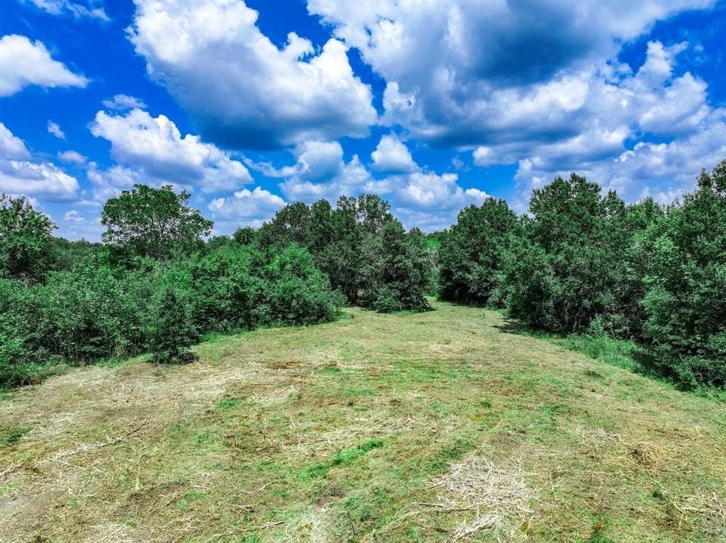 223 acres in Franklin County - photo 29