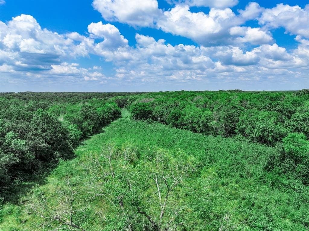 223 acres in Franklin County - photo 15