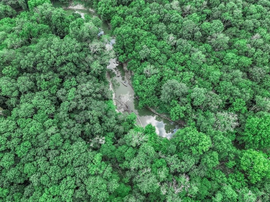223 acres in Franklin County - photo 12