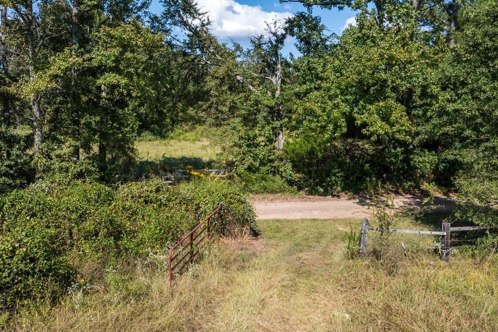 86.98 acres in Van Zandt County - photo 11