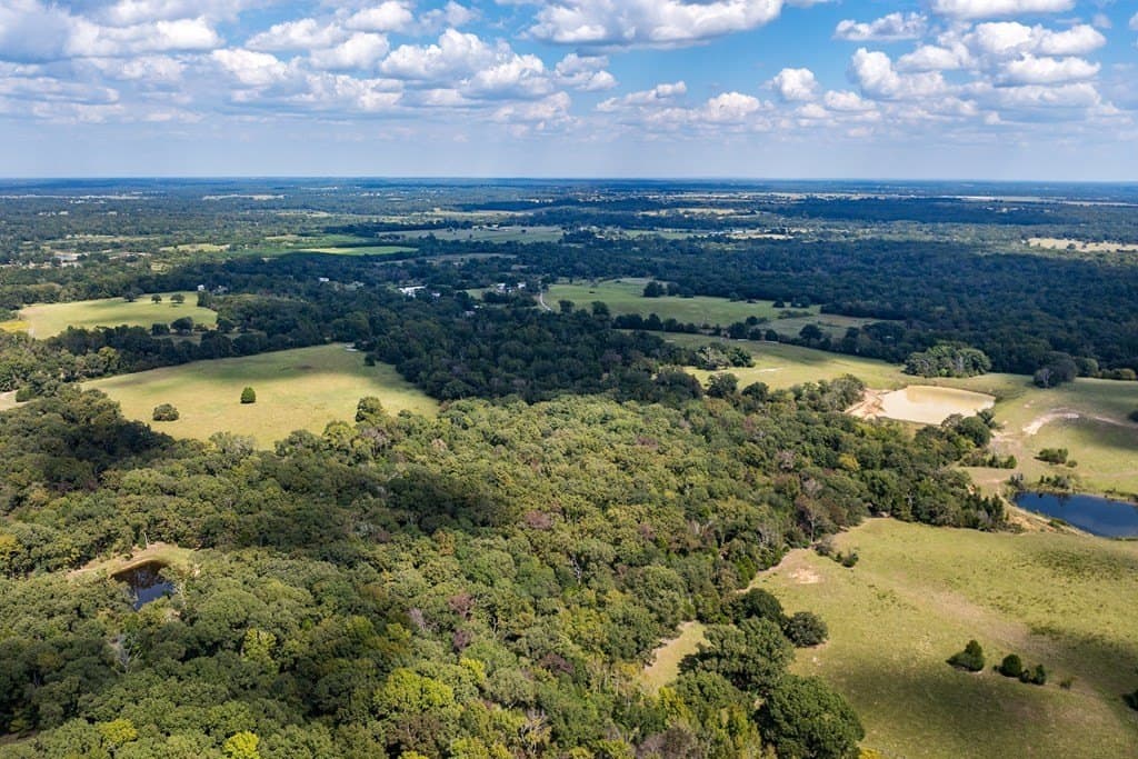 86.98 acres in Van Zandt County - photo 5