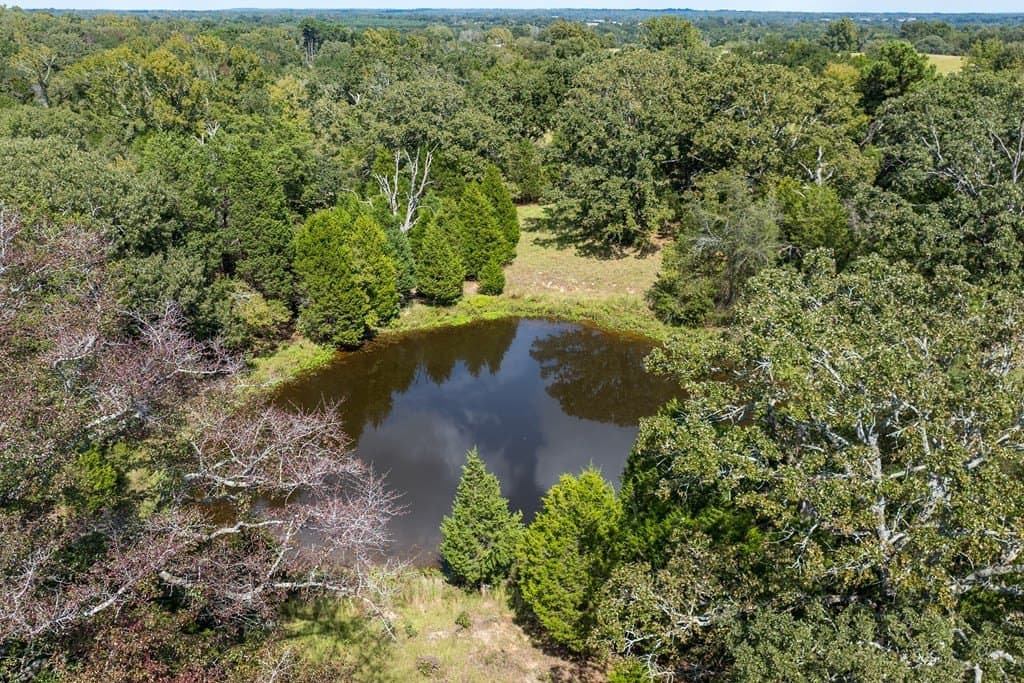 86.98 acres in Van Zandt County - photo 7