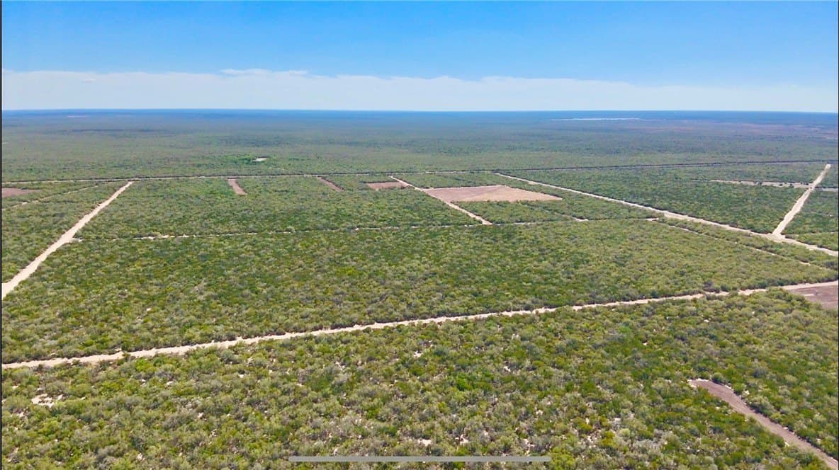 475.29 acres in Webb County - photo 10