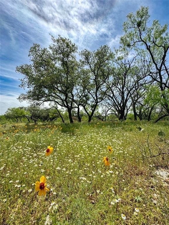 3.02 acres in McCulloch County - photo 4