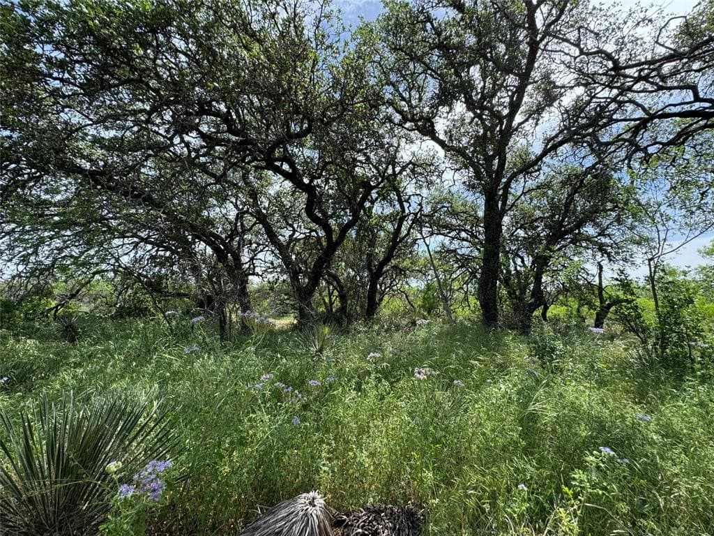 3.02 acres in McCulloch County - photo 5
