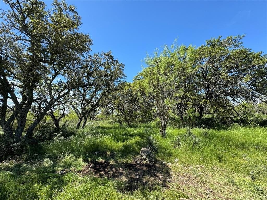 3.02 acres in McCulloch County - photo 3