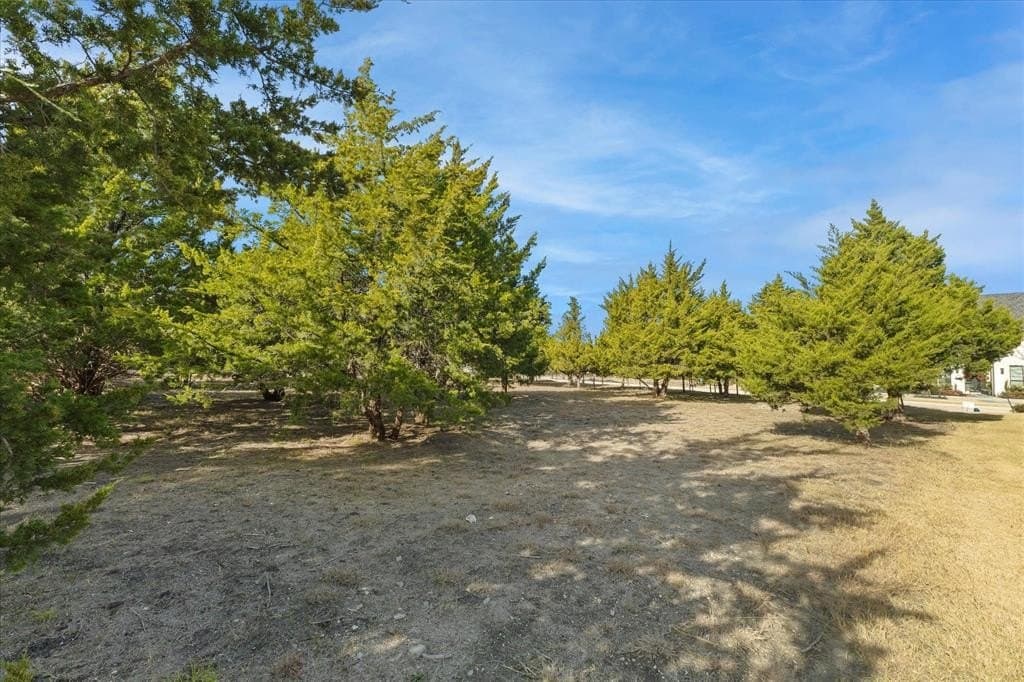 0.39 acres in Rockwall County - photo 9
