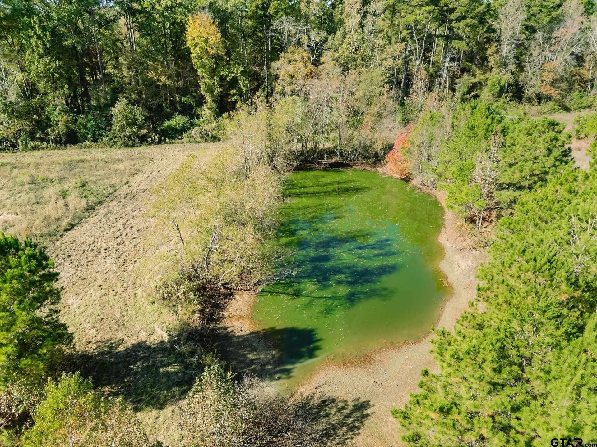 11.6 acres in Upshur County - photo 4