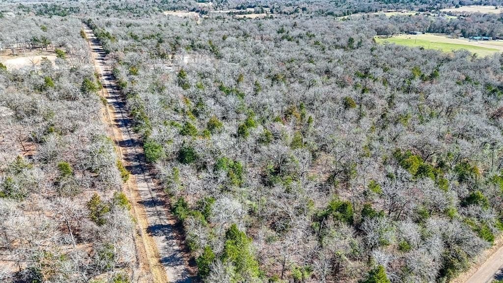 5.01 acres in Freestone County - photo 4