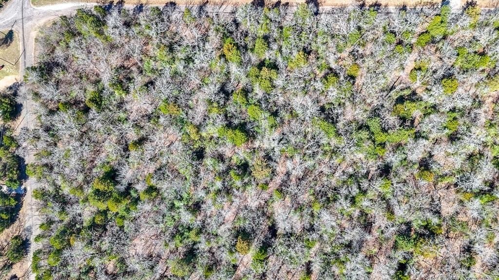 5.01 acres in Freestone County - photo 8
