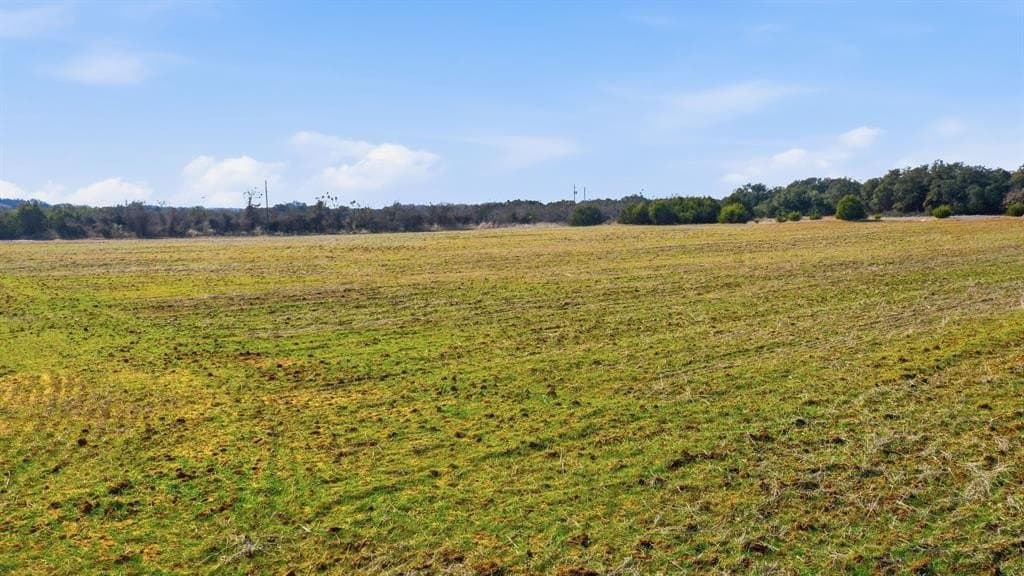 11 acres in Callahan County - photo 14