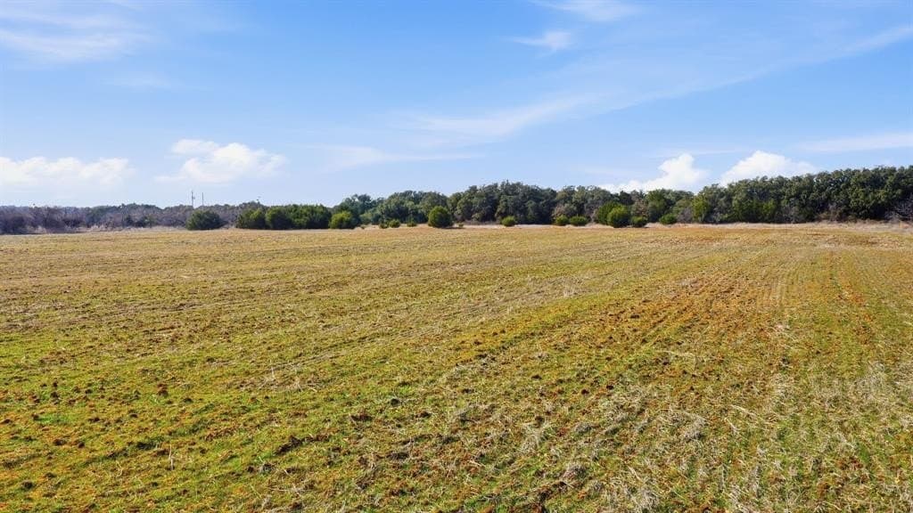 11 acres in Callahan County - photo 13