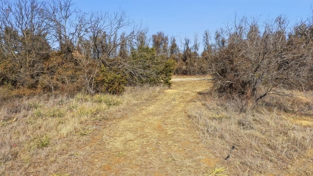 11 acres in Callahan County - photo 19