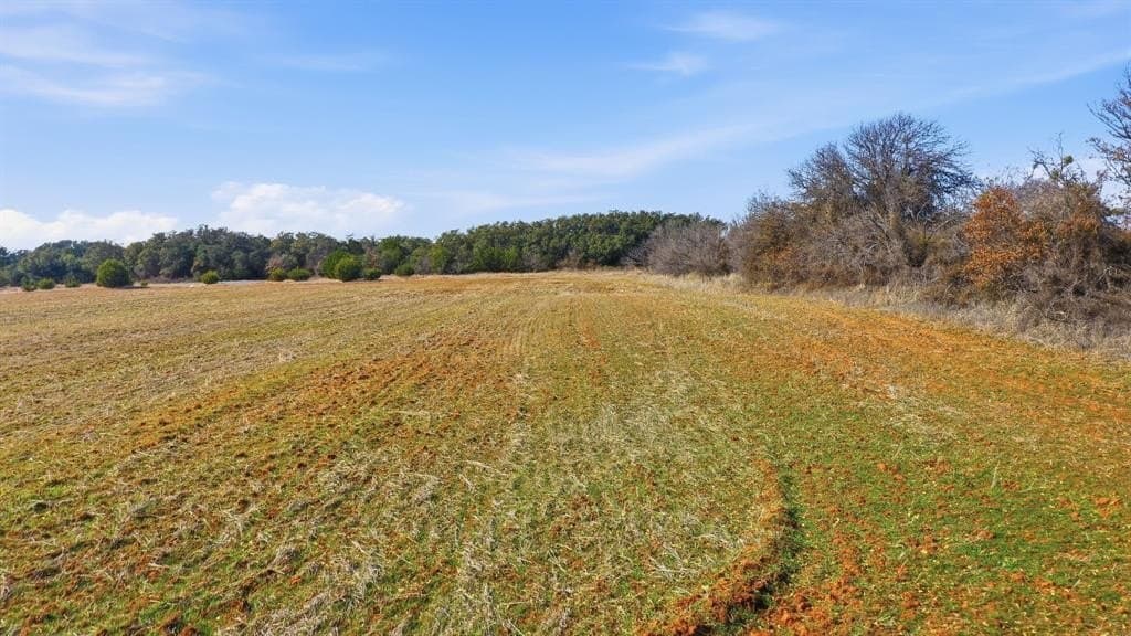 11 acres in Callahan County - photo 12