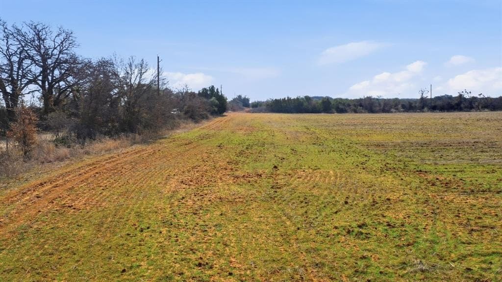 11 acres in Callahan County - photo 15