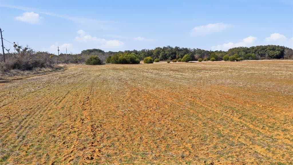 11 acres in Callahan County - photo 9