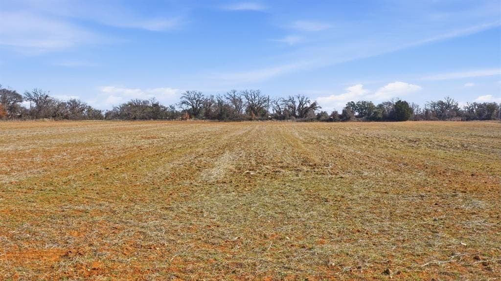 11 acres in Callahan County - photo 20