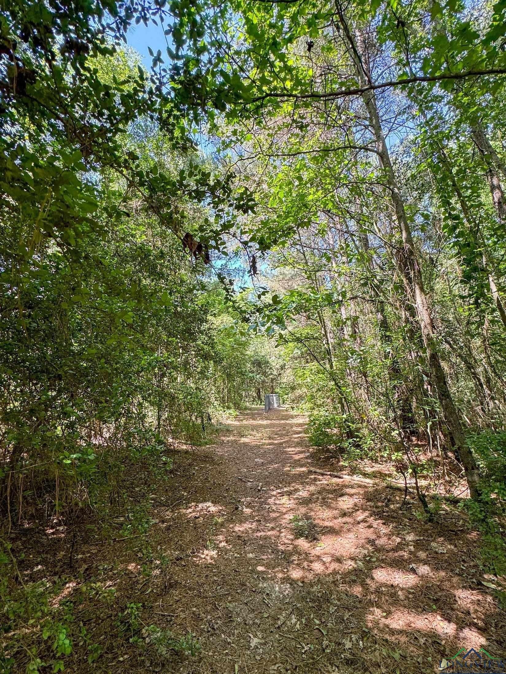 24.36 acres in Texas County - photo 10