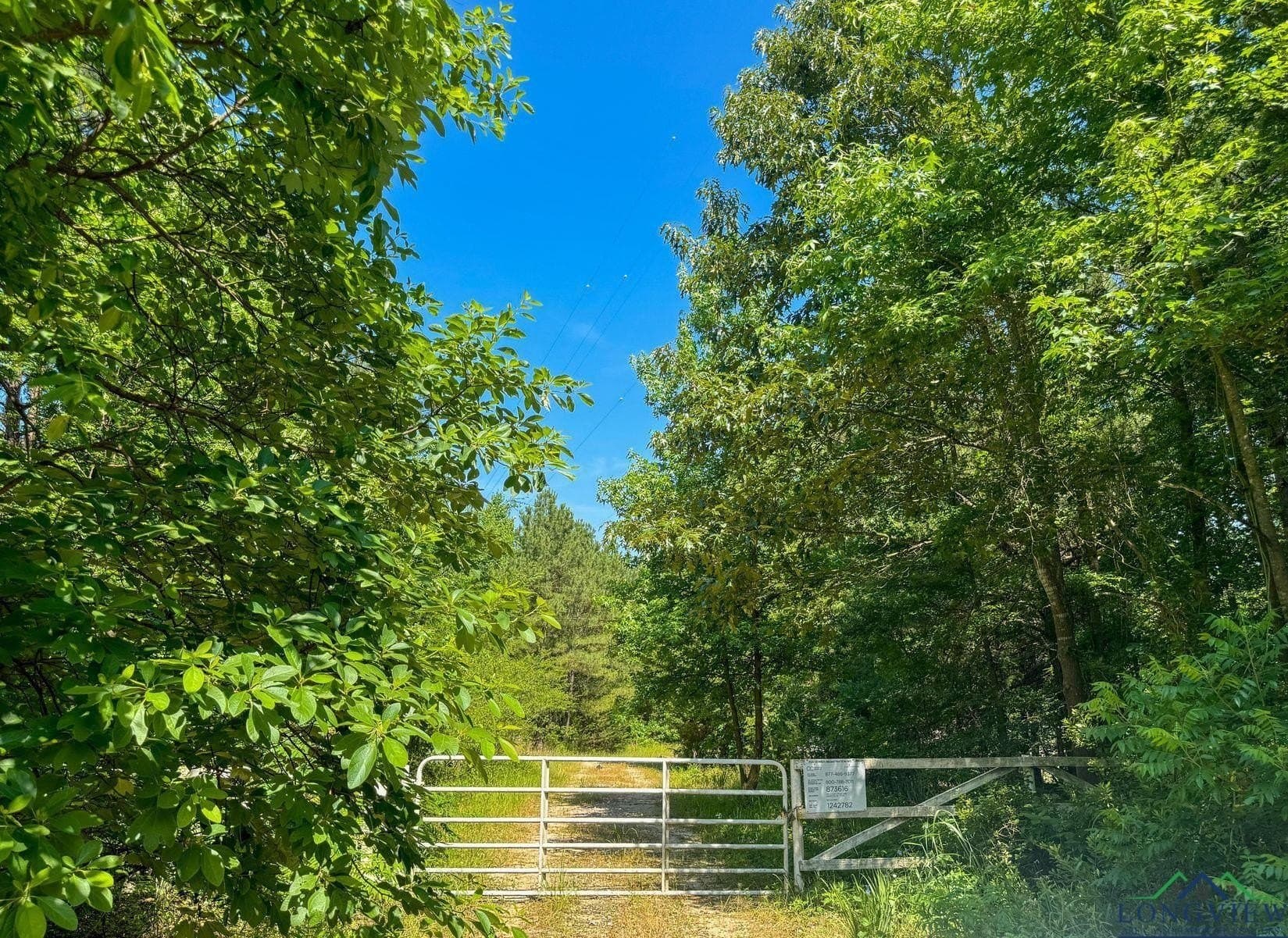 24.36 acres in Texas County - photo 22