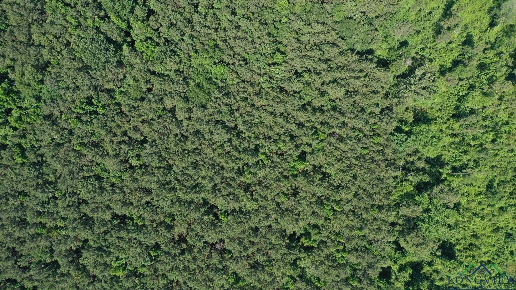 24.36 acres in Texas County - photo 19
