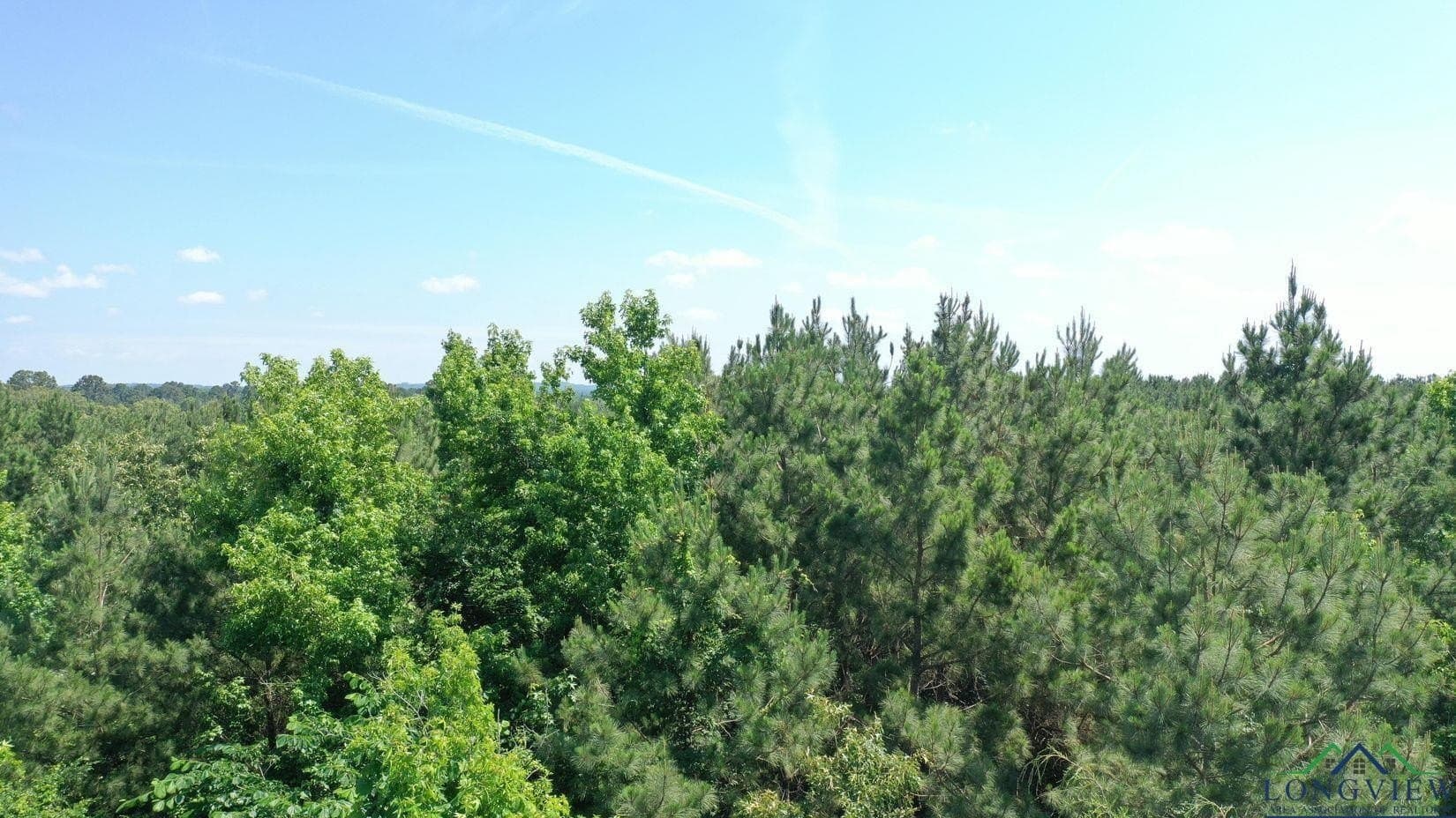 24.36 acres in Texas County - photo 15