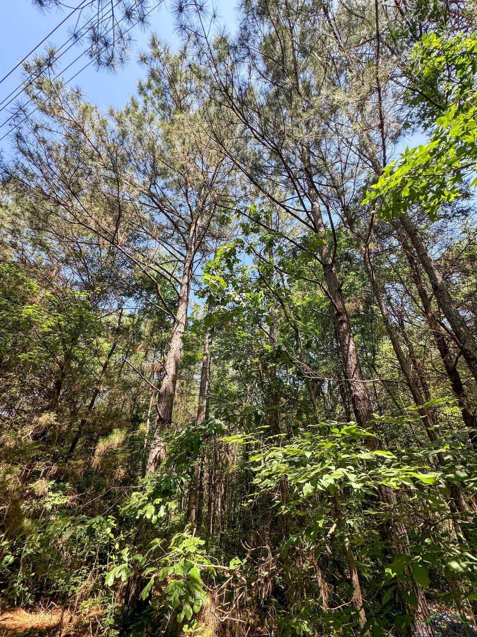 24.36 acres in Texas County - photo 8